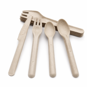Compostable Cutlery China Supplier - Image 1