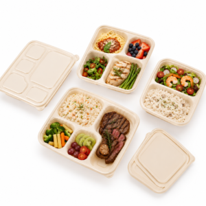 Compostable Food Container China Supplier - Image 2