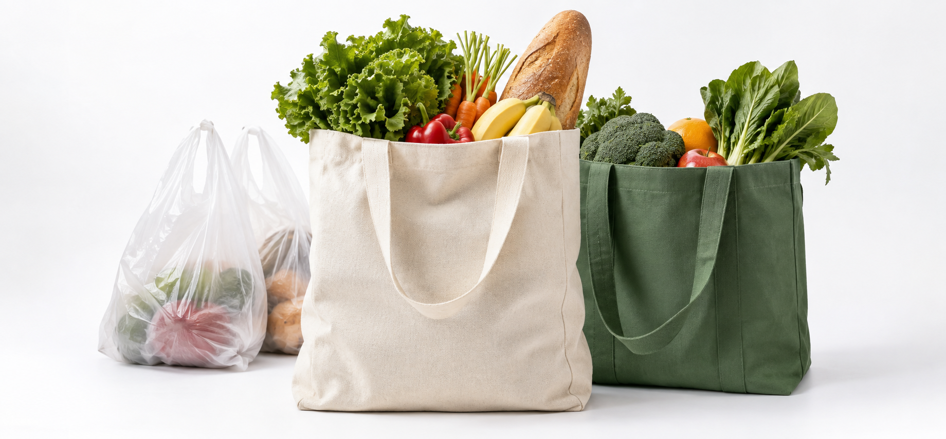 Reusable Bags Instead of Plastic Bags